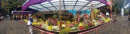 菊まつりの大風景花壇「天の岩戸」