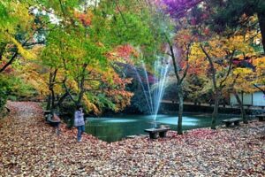 18日の三条は最高気温は未明の12.1度、日中はくもりで日が差すこともあったが気温は下がり続ける