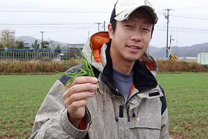 燕三条イタリア野菜研究会の内山代表とムギの苗
