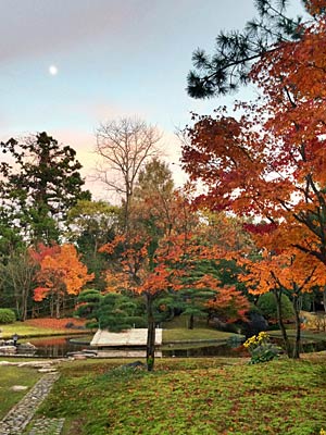 晩秋の風情を楽しめる日本庭園