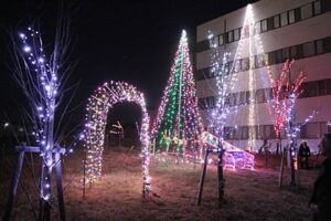 3日、クリスマスイルミネーションの点灯式を行った県央研究所