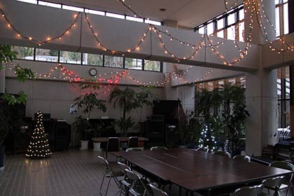 三条市保内公園緑の相談所の展示ホールのイルミネーション