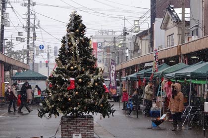 クリスマスイブに開かれた「サンタマルシェ＠三条中央商店街」、歩行者天国にした三条中央商店街に設置されたシンボルのクリスマスツリー
