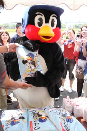 田植えで「つば九郎米」をPRするつば九郎
