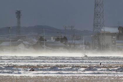 4日午前9時半ころ燕市大曲地内で地吹雪