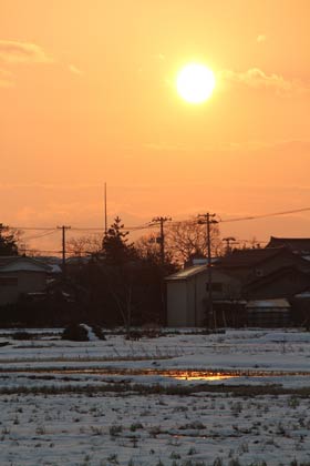 16日夕方、三条市上須頃地内の田んぼ
