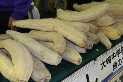 見事に実ってたしに生まれ変わったヘチマ