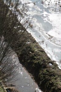 1日午後の三条市上須頃地内、明け方の厳しい冷え込みで凍ったたんぼの水も日中は青空でぐんぐんとける
