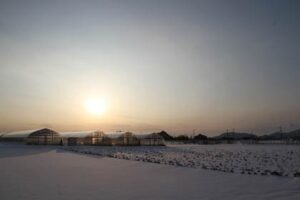 26日夕方、日没が近づく燕市大曲地内の畑