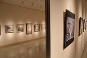 1日から17日まで燕市文化会館展示ホールで初めて開かれている「つばめ春のアートまつり」