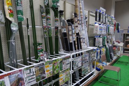 東日本大震災以来、人気が続く「緑のカーテン」