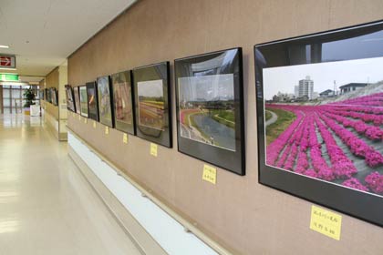 19日まで済生会三条病院で開かれている、第十三回写楽友人会写真展