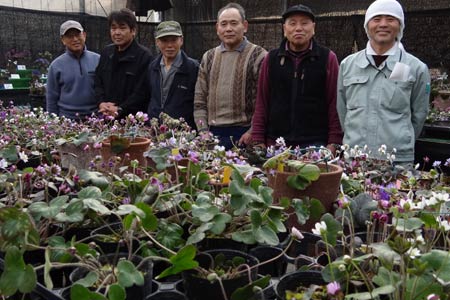 展示したユキワリソウを前に三条雪割草寿会の会員