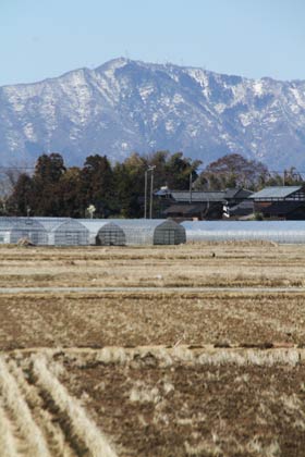 12日の三条市上須頃から見る雪が少なくなった弥彦山