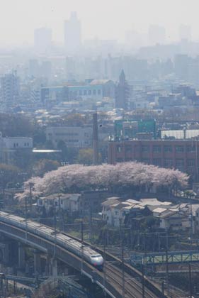  2009年4月6日、東京・王子の「北とぴあ」から