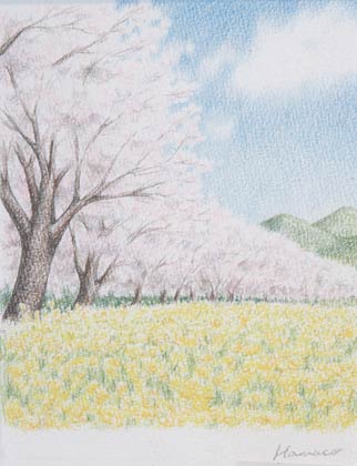  渡辺さんの作品