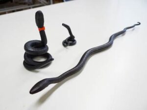 14日に三条鍛冶道場で和釘と同じ手法で作る「へびづくり講座」、参加者募集
