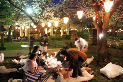 13日夜、八幡公園で夜桜の花見で盛り上がる市民