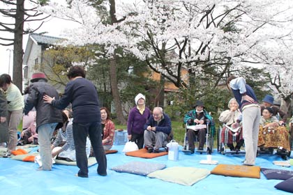 まさに満開のサクラの下でNPO法人地域たすけあいネットワークが花見