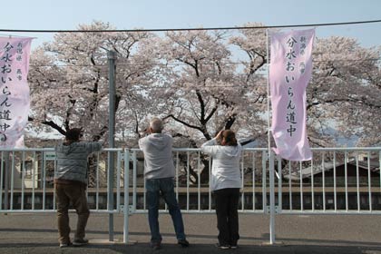 分水駅でサクラ並木を眺める人たち