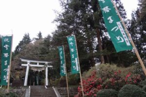 第47回雪椿まつり雪椿大園遊会が行われる加茂山公園の市民体育館付近に立つのぼり