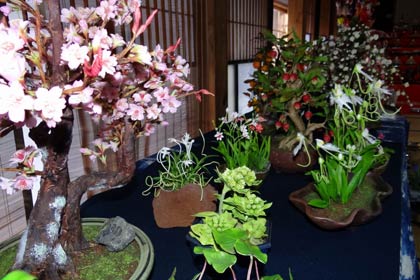 樹脂粘土の盆栽