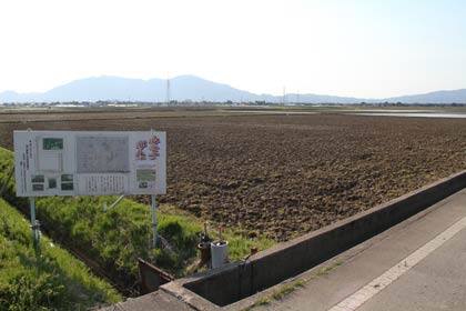 田んぼアートを行う燕市吉田ふれあい公園西側の田んぼ
