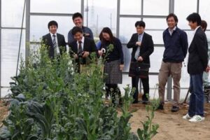 燕三条イタリア野菜研究会メンバーの畑を見学する「さいたまヨーロッパ野菜研究会」