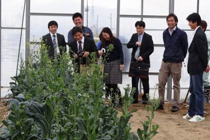 燕三条イタリア野菜研究会メンバーの畑を見学する「さいたまヨーロッパ野菜研究会」