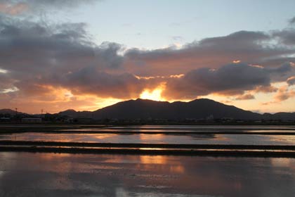2日夕方、燕市吉田法花堂地内で弥彦山の背景を染める夕焼けを水が張られた田んぼが映す