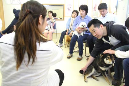 日本ペット美容マイスター学院で開かれた「我が家の愛犬すくすくフェアー」のバランス・ドッグマッサージ