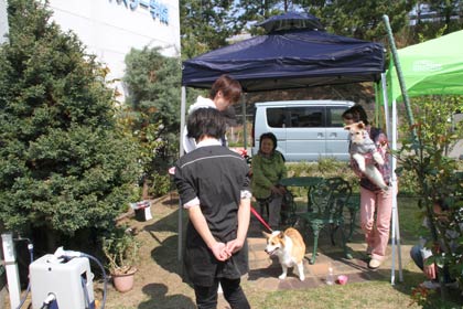 しつけの相談も