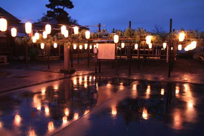 雨の「八王寺の白藤」も一興