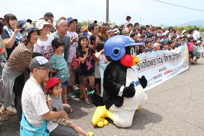 燕市と東京ヤクルトスワローズのコラボで生まれた農業体験田「スワローズ・ライスファーム」で19日、昨年に続いてつば九郎と一緒に田植えを体験する首都圏からの日帰りバスツアー