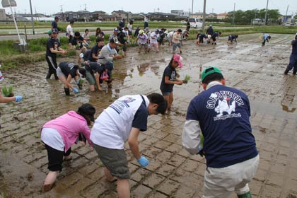 田植えは人海戦術であっと言う間