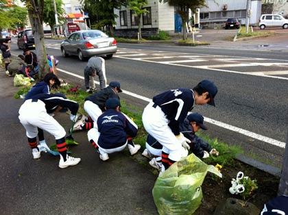 三条市の少年野球チーム「一小スターズ」が一ノ木戸小付近の国道289号沿いで「草取り&花いっぱい活動」