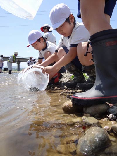 五十嵐川でアユの稚魚を放流する一ノ木戸小と大浦小の児童
