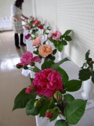 78種類の切り花の展示も