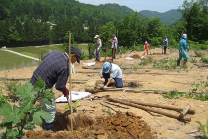 集落の墓地に30本のサクラを植樹する牛野尾中山間地事業組合
