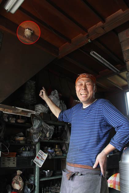 ツバメの巣作り大歓迎の川崎栄治さん、左上の赤丸の中にあるのが巣