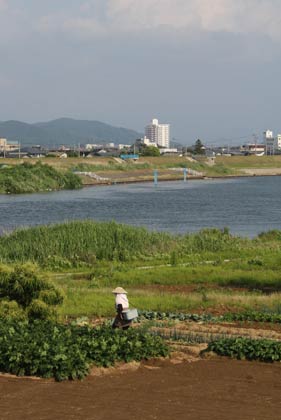 8日午後の三条市下須頃、五十嵐川左岸の堤内地の耕された畑の土がやわらかそうに