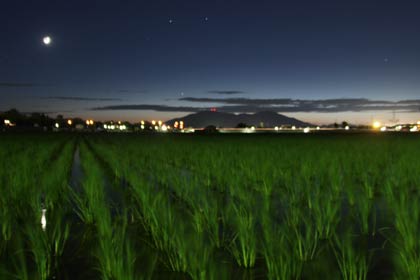 12日夜、燕三条駅付近で