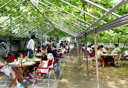  これまでの燕三条「畑の朝カフェ」のようす
