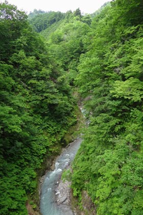  榾橋から見下ろす渓谷