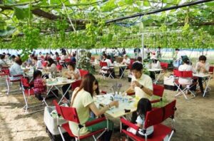 6月30日に渡辺果樹園で行われた「燕三条『畑の朝カフェ』」