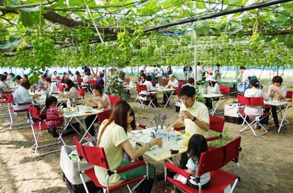 6月30日に渡辺果樹園で行われた「燕三条『畑の朝カフェ』」