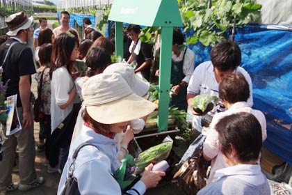 野菜の直売