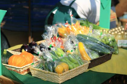 燕三条イタリア野菜研究会の会員が作る野菜