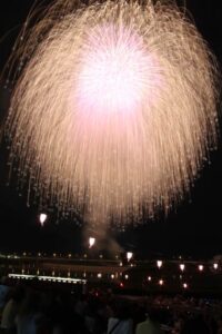 第9回三条夏まつりの大花火大会