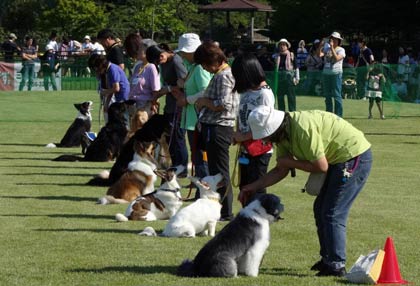 昨年の県央地区動物フェスティバルのようす